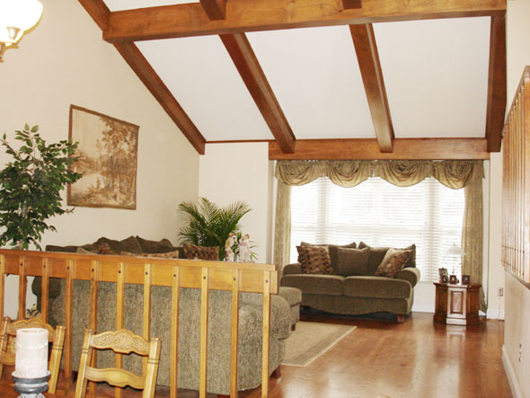 Vaulted Living Room